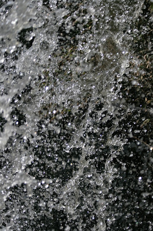 Fotoclubje Blijdorp 2008-150.jpg